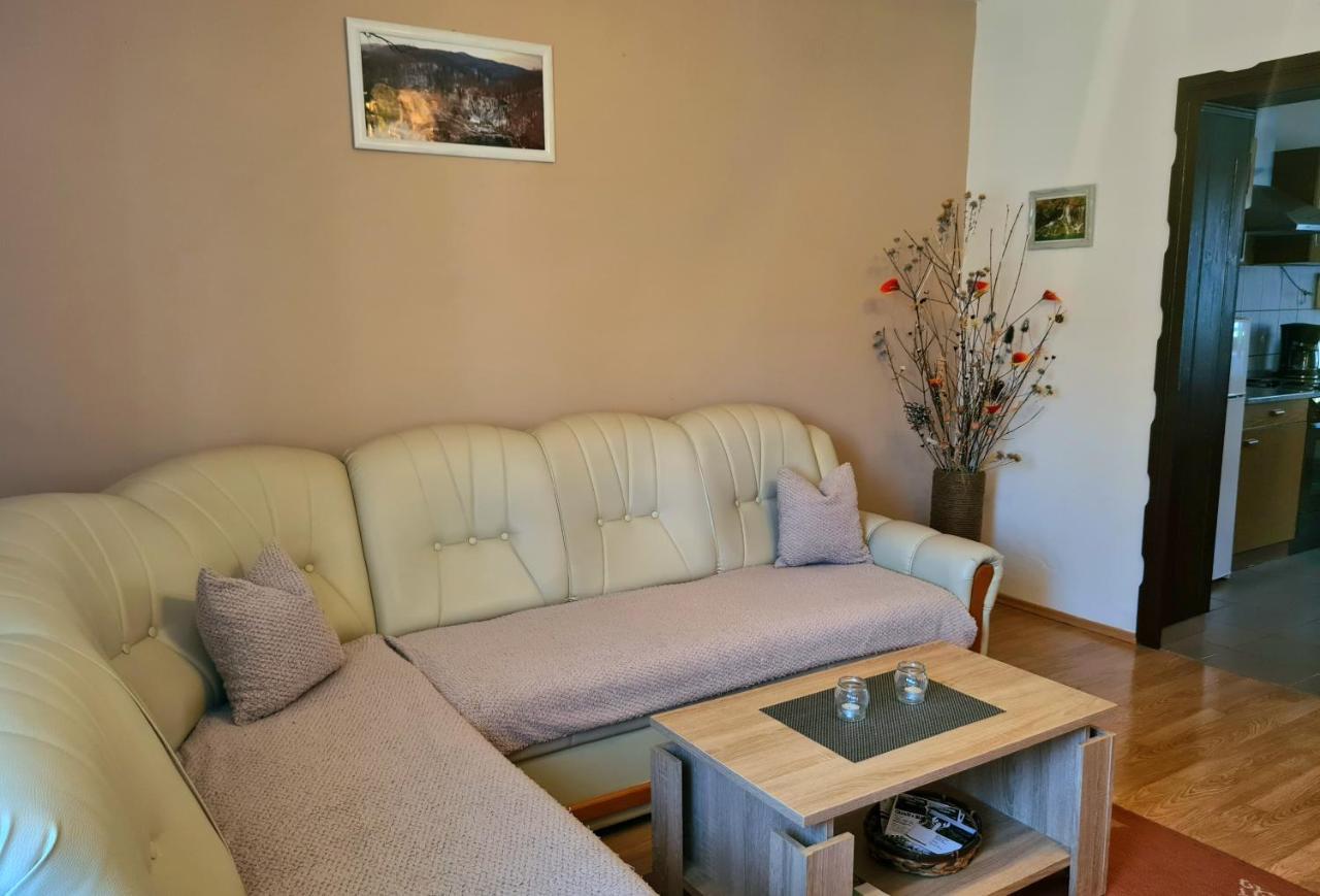 Apartment & Room Monika Rakovica Exteriér fotografie